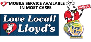 Best of the Bay Auto Glass